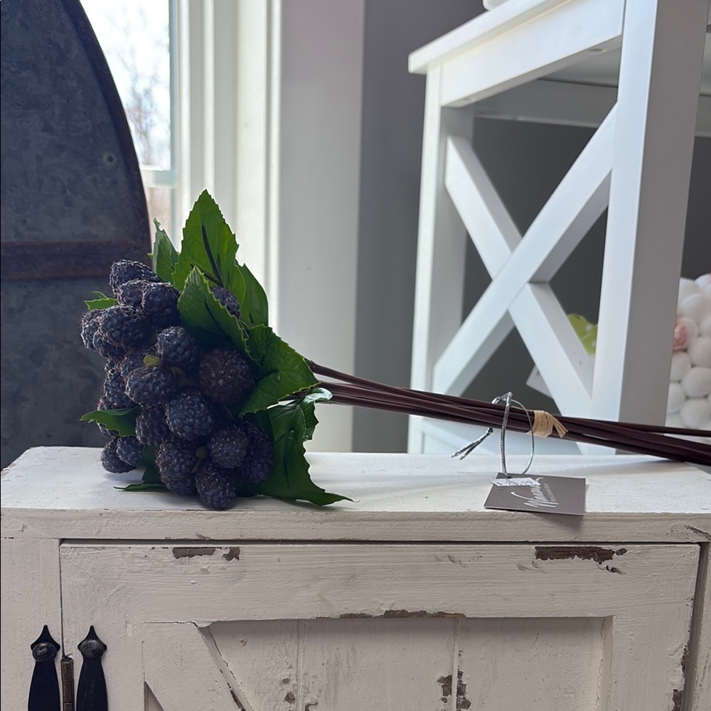 Elegant Purple Berry Stem by windward